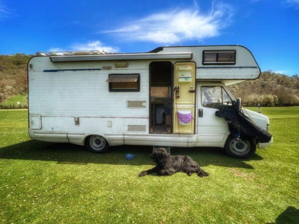 viaggiare con cani in camper