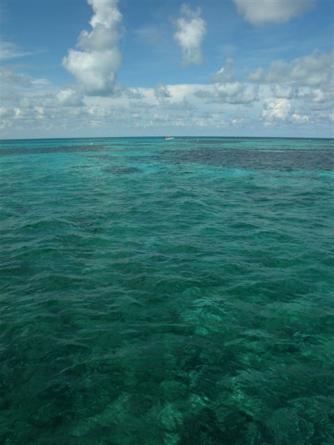 Vista panoramica del mare con acque cristalline e cielo nuvoloso.