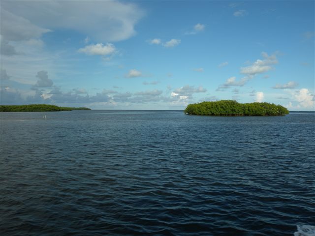 Vista panoramica di isole verdi nel mare con cielo nuvoloso.