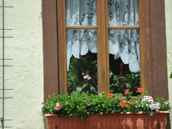 Una finestra con gerani fioriti, Rothenburg ob der Tauber
