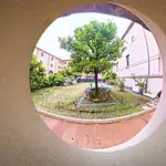 L’arancio del chiostro di Santa Sabina visto attraverso il foro nel muro del portico