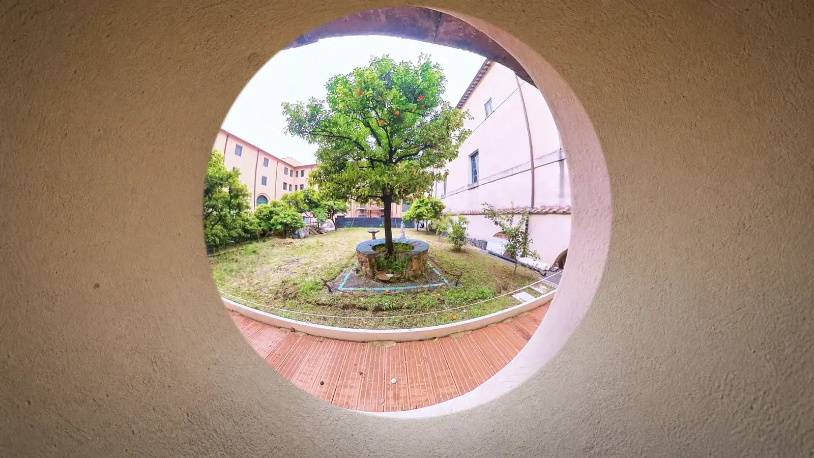 L’arancio del chiostro di Santa Sabina visto attraverso il foro nel muro del portico